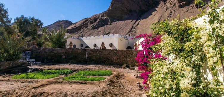 Фото отеля Bedouin Moon Hotel
