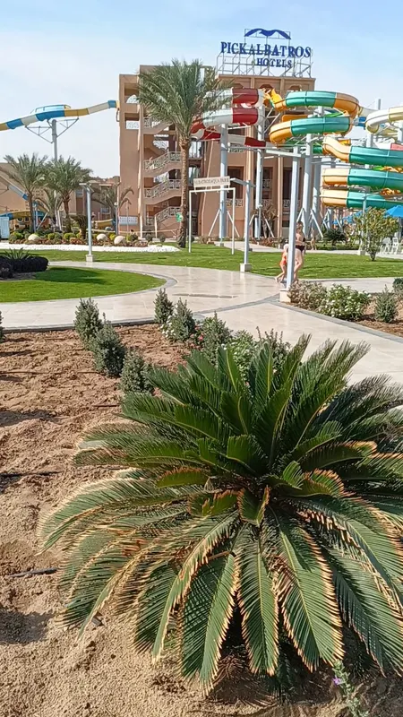 Pickalbatros Aqua Park Resort (Hurgada) фото 101
