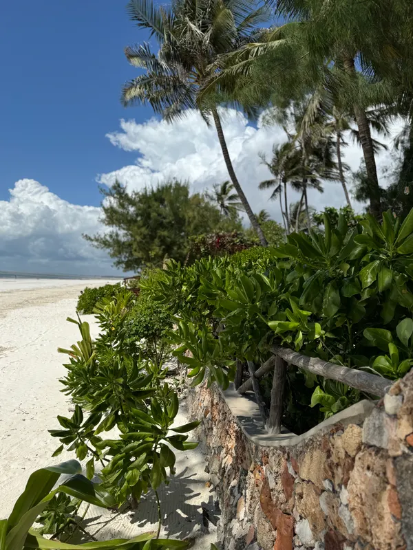 Palumbo Mnemba View Resort фото 20
