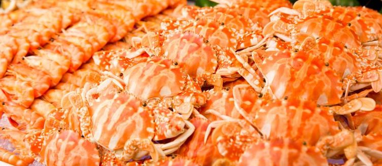 Фото отеля China