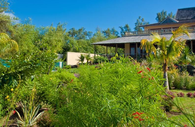 Jalsa Beach Hotel & Spa фото 32