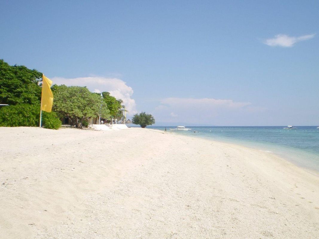 Balicasag Island Dive Resort фото 15