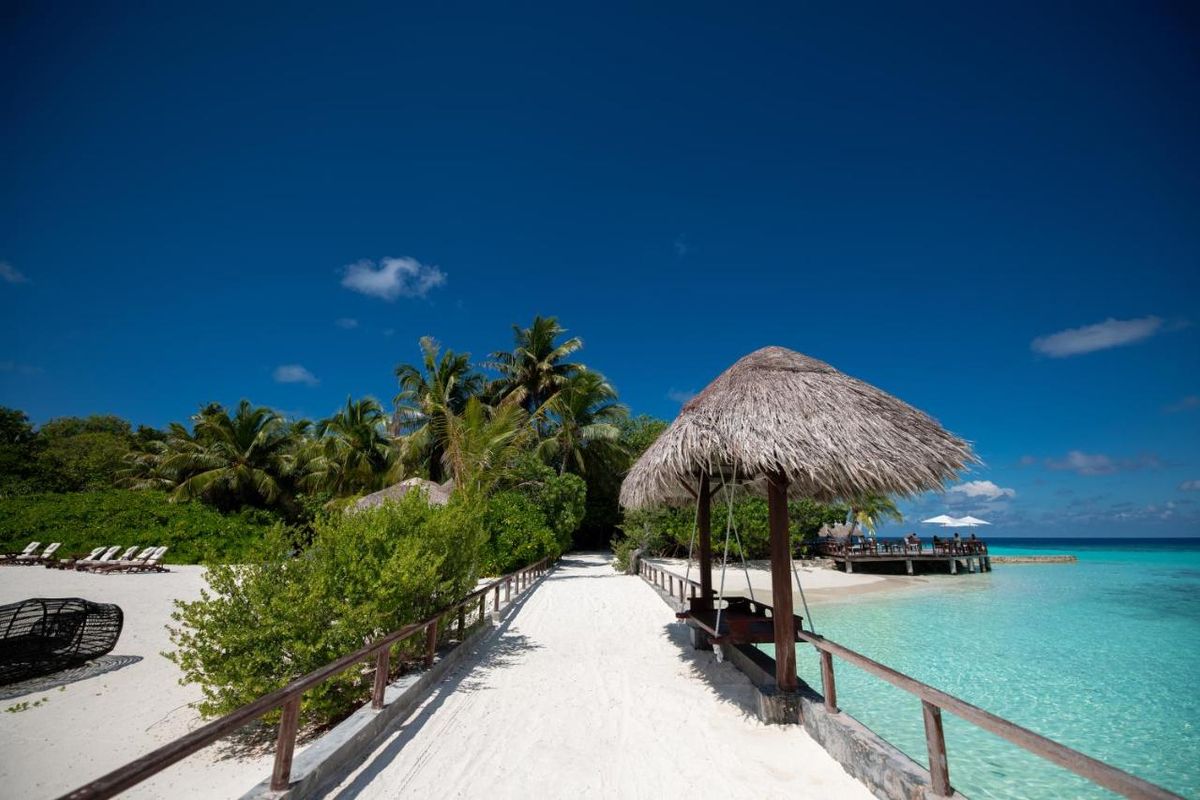 Makunudu Island (Adults Only) фото 18