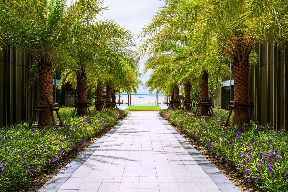 Phuket Marriott Resort and Spa, Nai Yang Beach фото 82