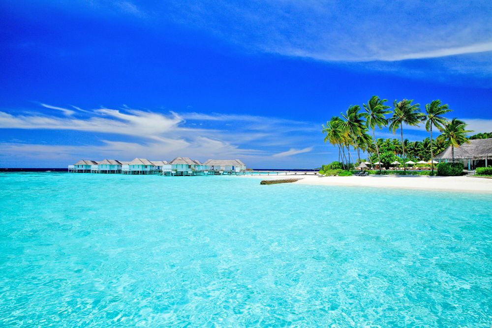 Machchafushi Island Resort & Spa Maldives, The Centara Collection фото 46