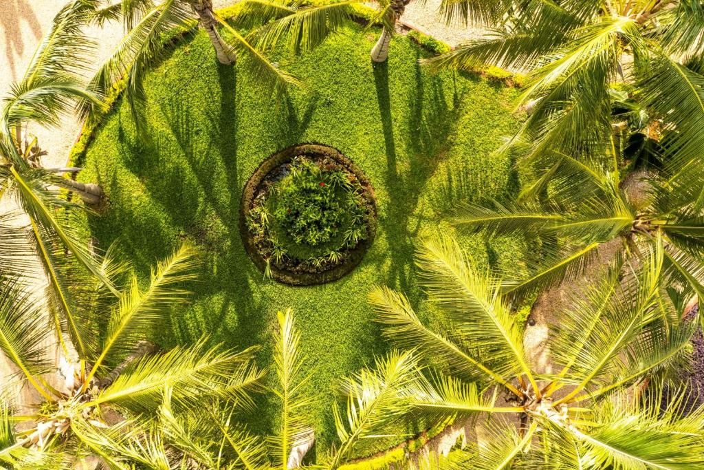 Nungwi Beach Resort by Turaco фото 152