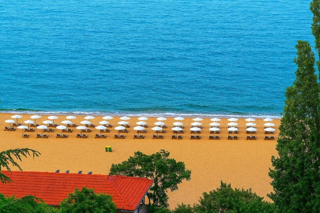 Palm Beach фото 30