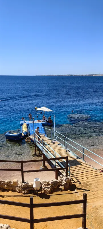 Sharm Resort Hotel фото 93