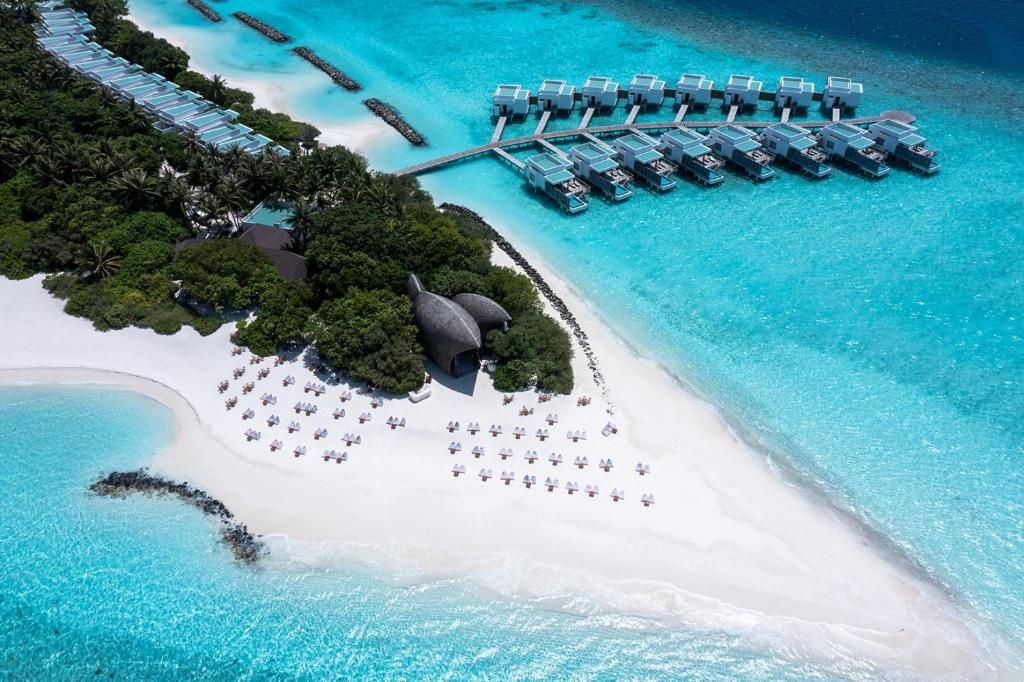 Niva Dhigali Maldives фото 38