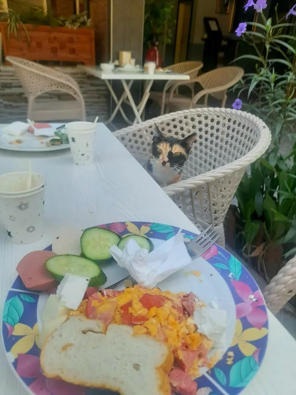 Santana Hotel фото 49