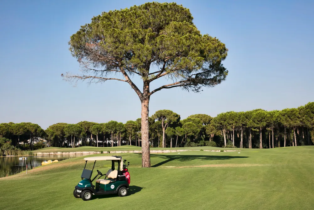 Voyage Belek Golf & Spa фото 97