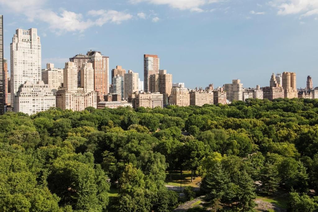 The Ritz-Carlton New York, Central Park фото 23