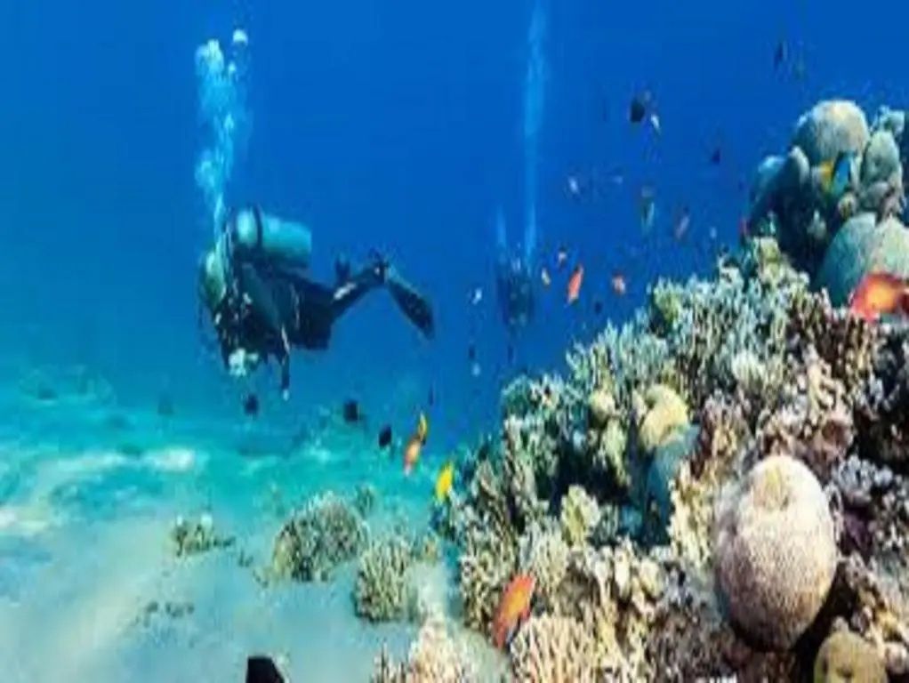 Jimmy Hotel Dahab фото 13