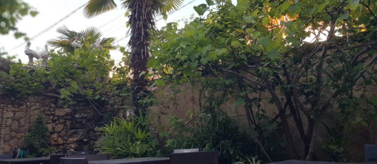 Фото отеля ЮгАделия