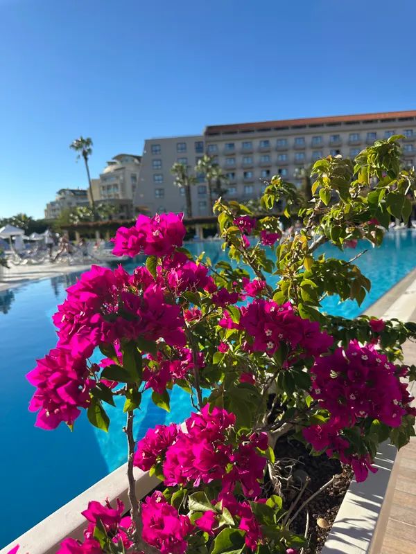 Kaya Belek фото 84