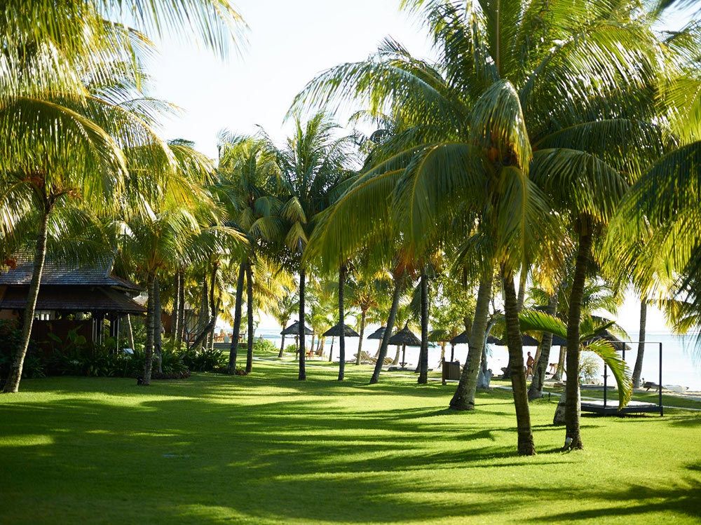 LUX Le Morne фото 65