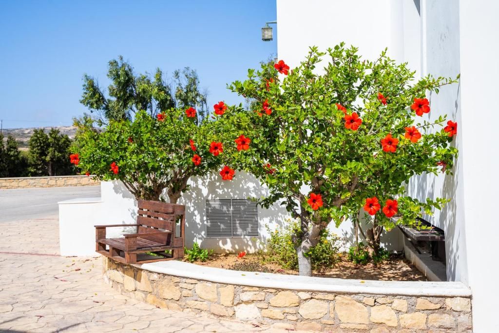 Irini Beach фото 21
