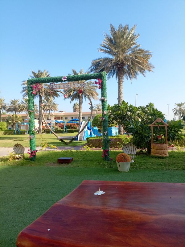 Flamingo Beach Resort фото 130