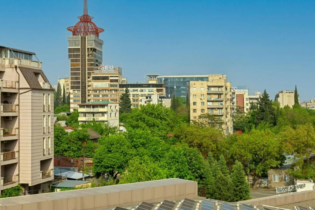 Sheraton Grand Tbilisi Metechi Palace фото 56