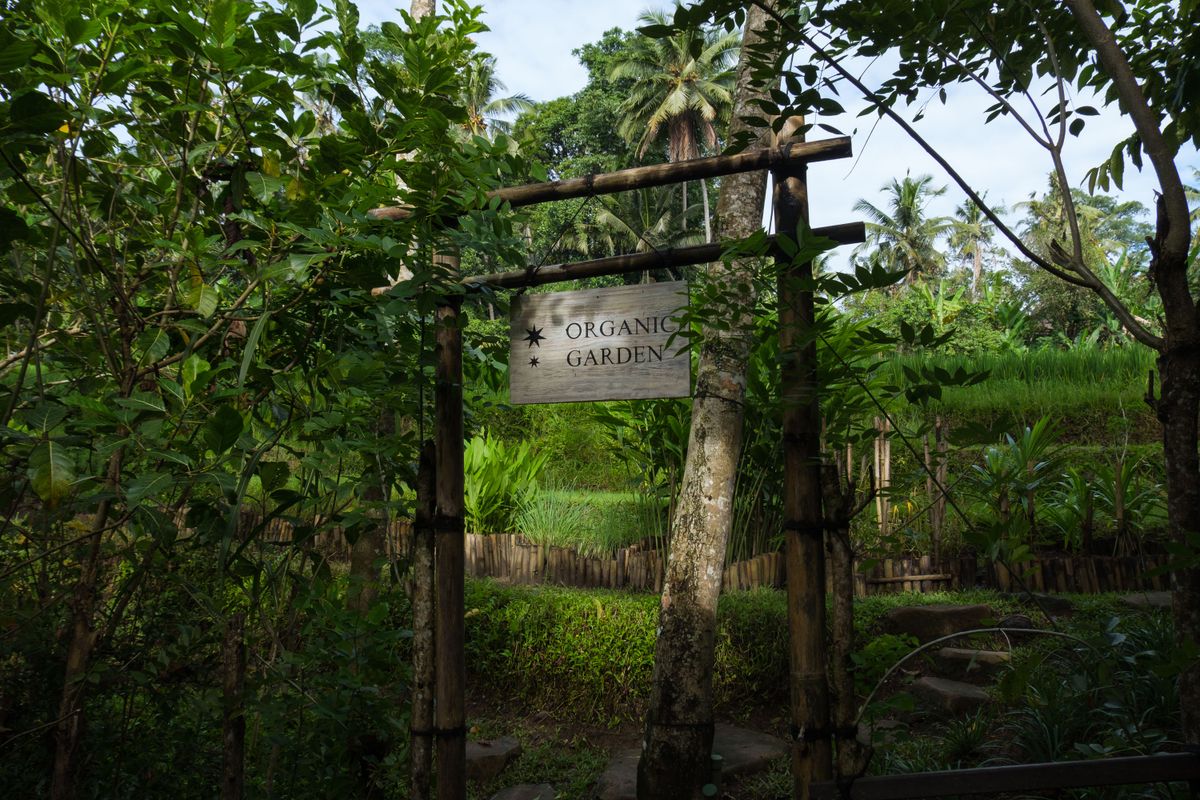Capella Ubud, Bali фото 23