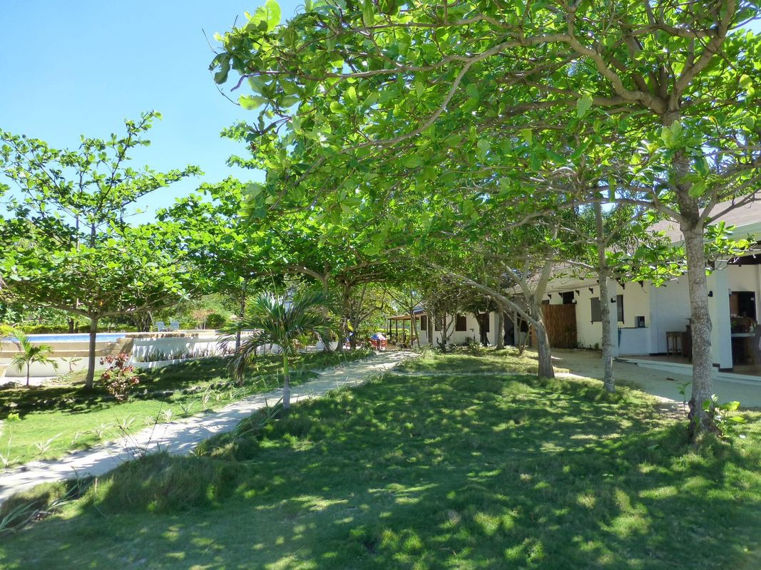 Talima Beach Villas & Dive Resort фото 4