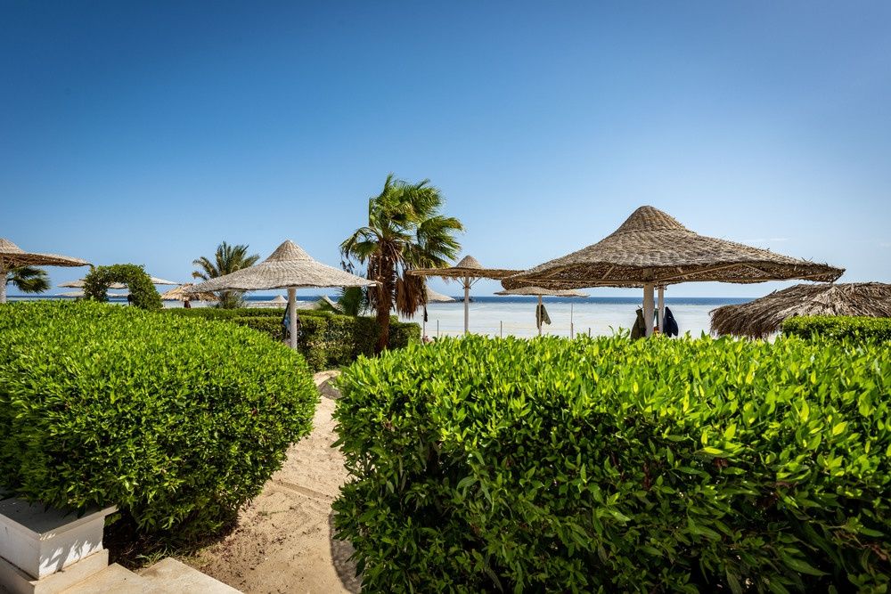 Blue Reef Red Sea Resort фото 48
