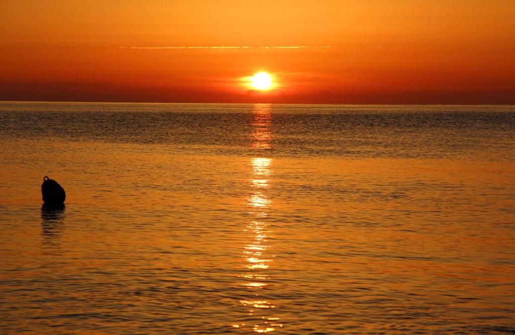 Faedra Beach Hotel фото 34