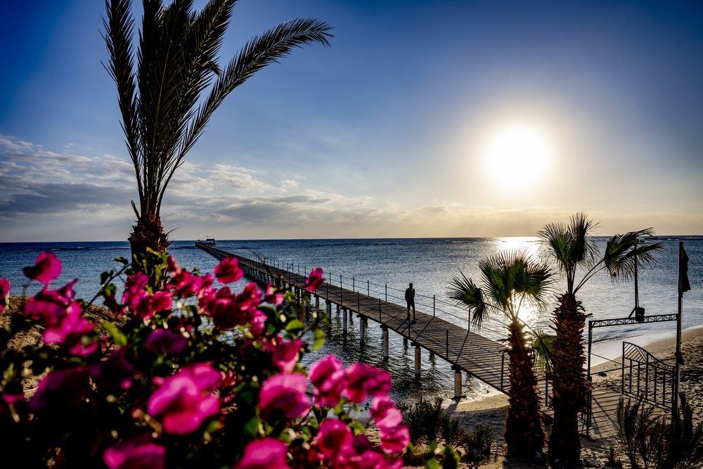 Blue Reef Red Sea Resort фото 41