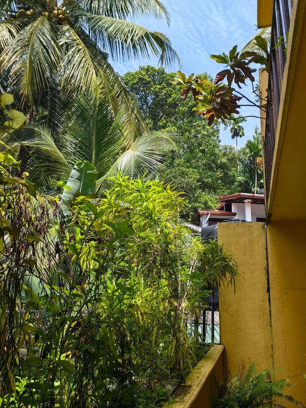 Thambapanni Retreat фото 29