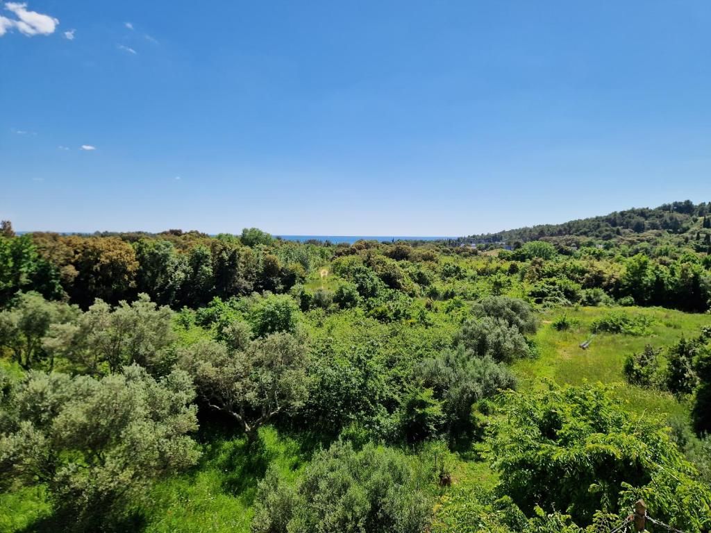 Villa Mareonda фото 16