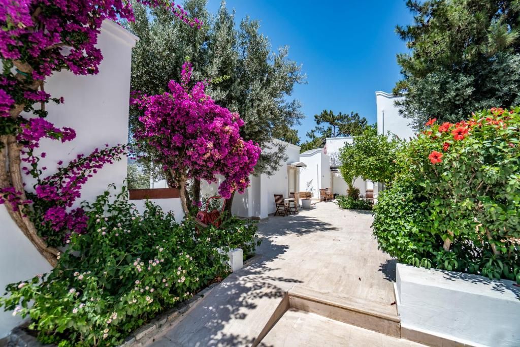 Manzara Boutique Hotel (Adults Only +12) фото 48