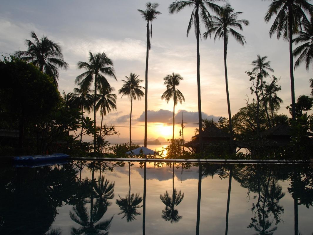 Niramaya Villa & Wellness Resort фото 6