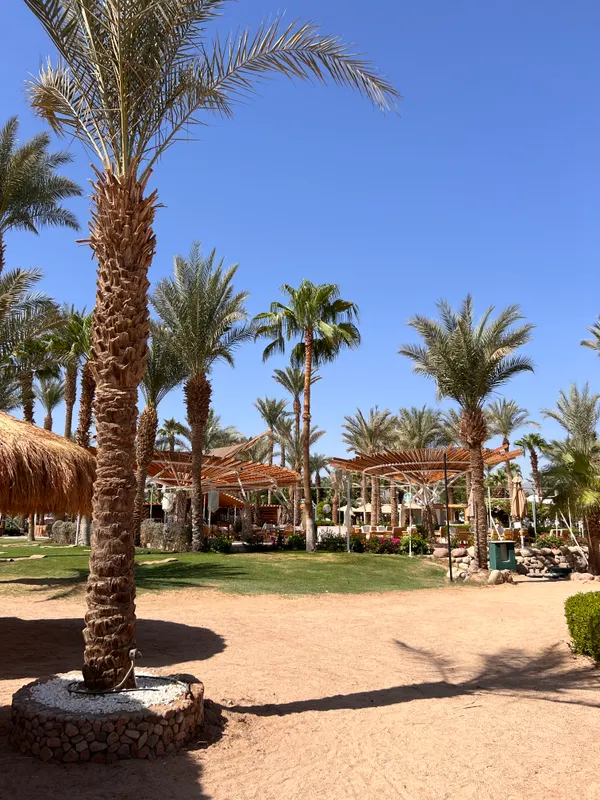 Jaz Sharm Dreams фото 78