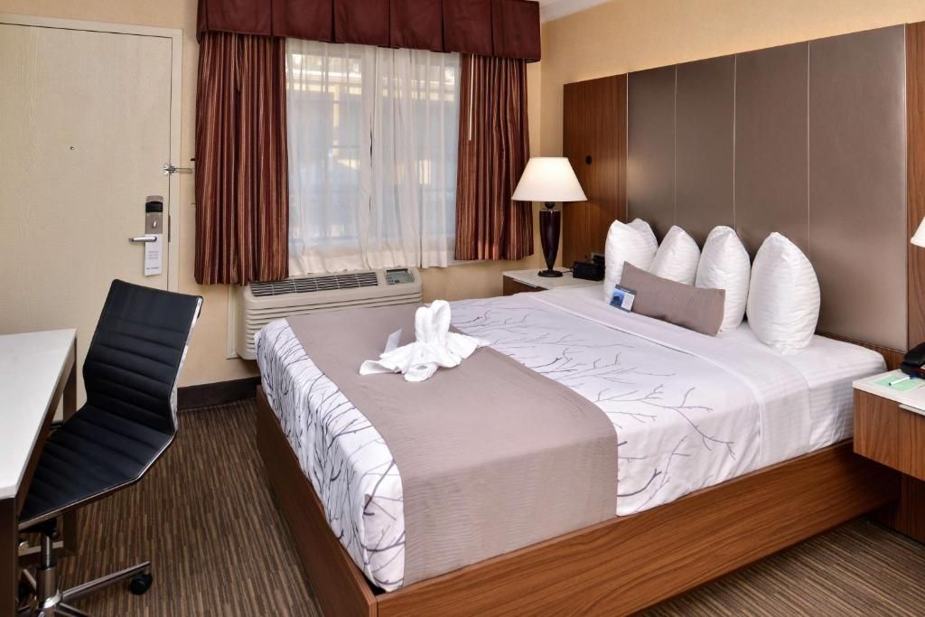 Best Western Hollywood Plaza Inn - Hollywood Walk of Fame Hotel - LA фото 34