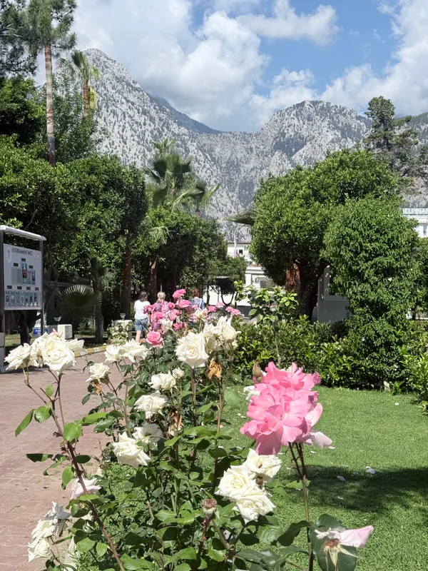 Selcukhan Hotel фото 49