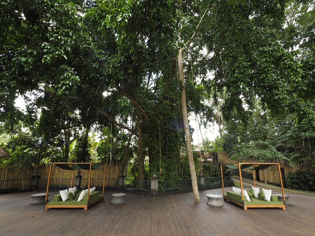 Plataran Ubud Hotel & Spa фото 36