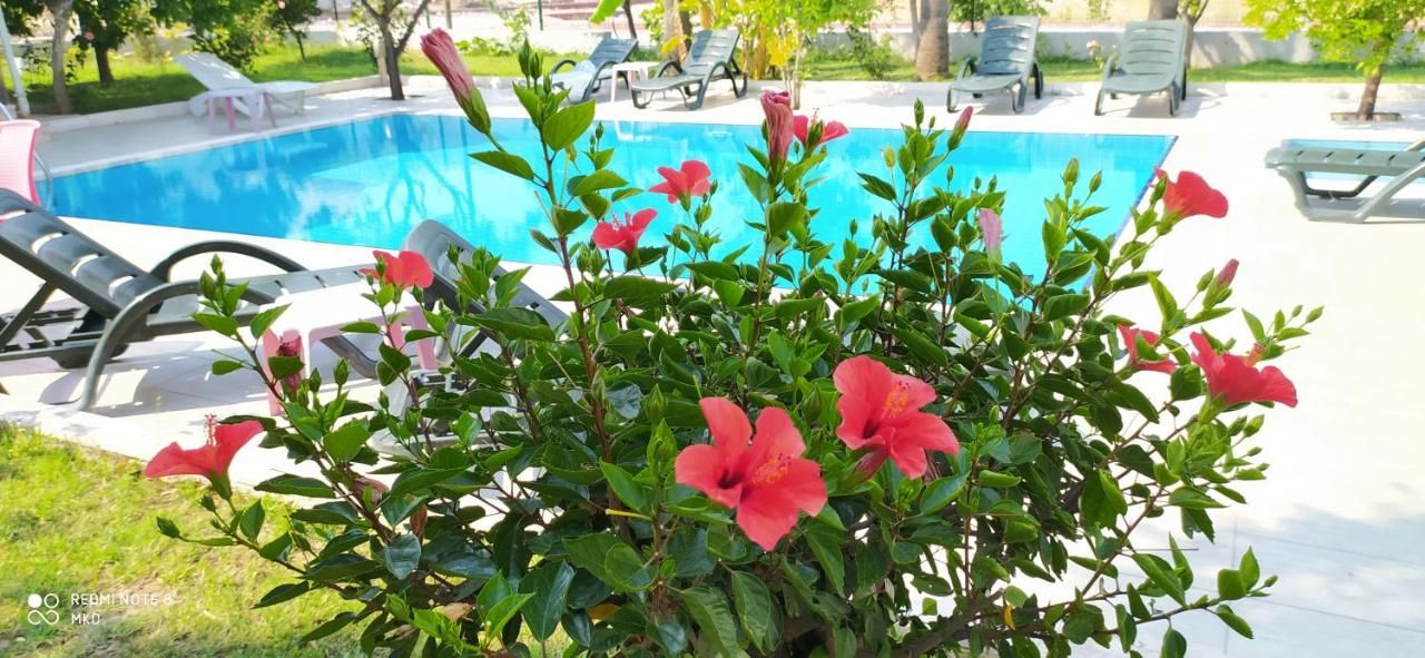 Green Garden фото 8