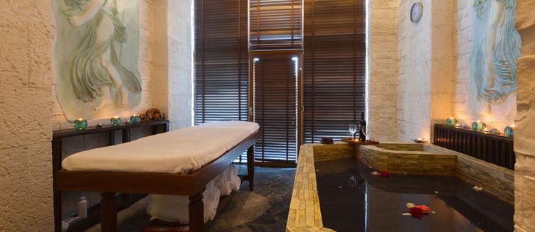 Фото отеля Melia Grand Hermitage