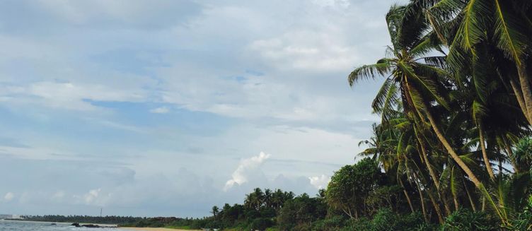 Фото отеля Aavya Cove Villas by Aahaasa