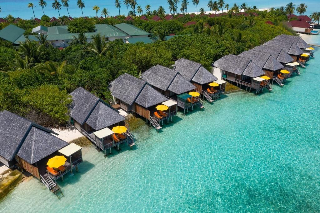 Dhigufaru Island Resort фото 73