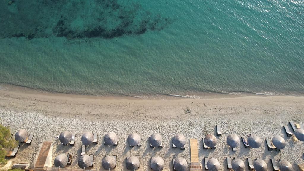 Olympion Sunset Halkidiki фото 31