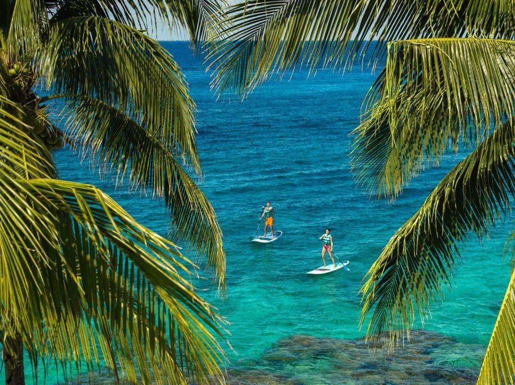 Cozumel Palace-All Inclusive фото 30