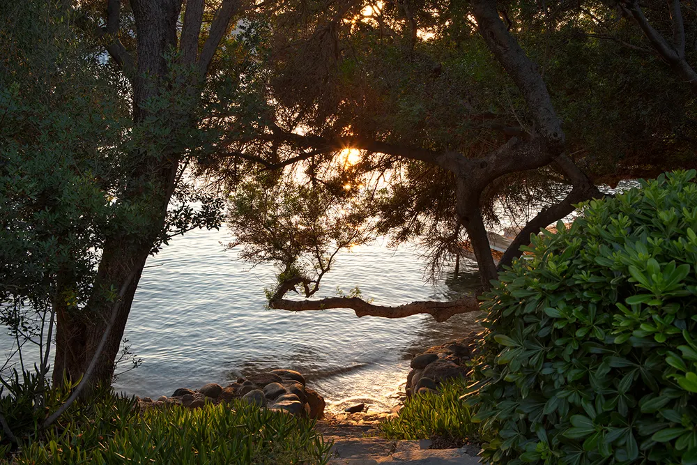DoubleTree by Hilton Bodrum Isil Club Resort фото 79