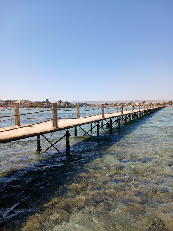 Sheraton Miramar Resort El Gouna фото 48