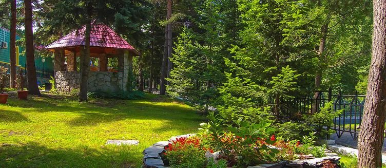 Фото отеля Старые друзья