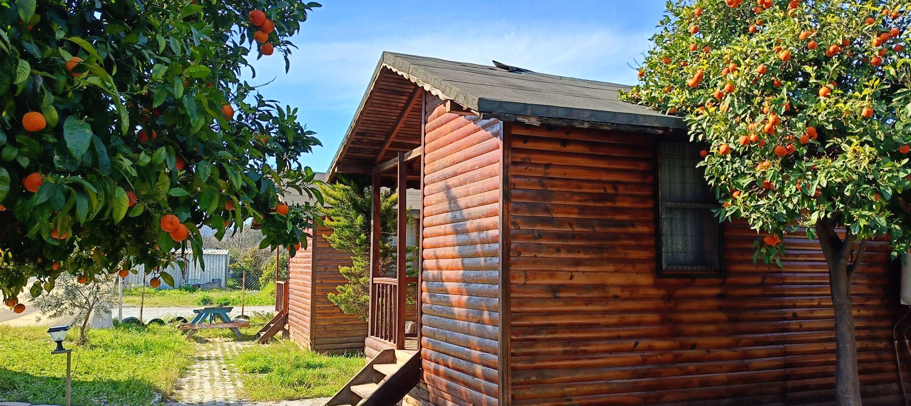 Elamir Beach Bungalow Hotel фото 21