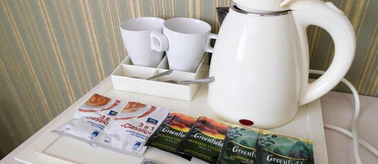 Фото отеля Hotel Oliva