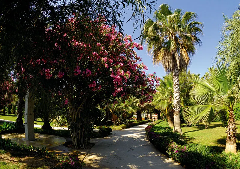 Ozkaymak Incekum Resort Hotel фото 61