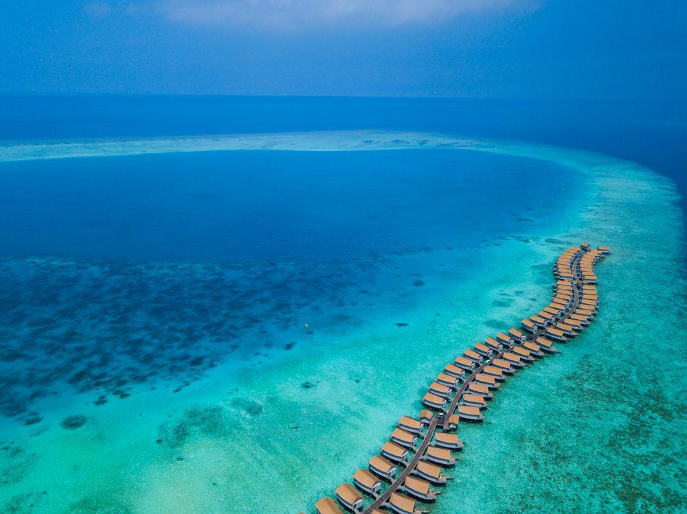 Centara Ras Fushi Resort & Spa Maldives (Adults Only) фото 37