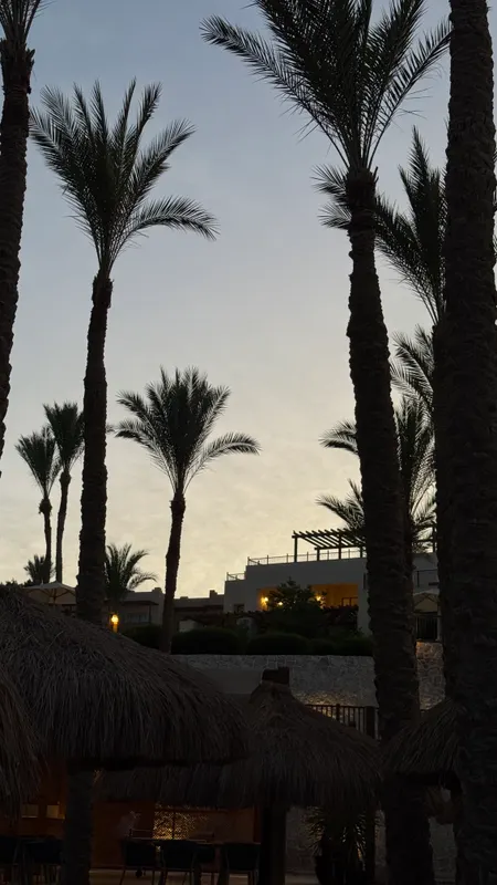 The Grand Hotel Sharm El Sheikh фото 60